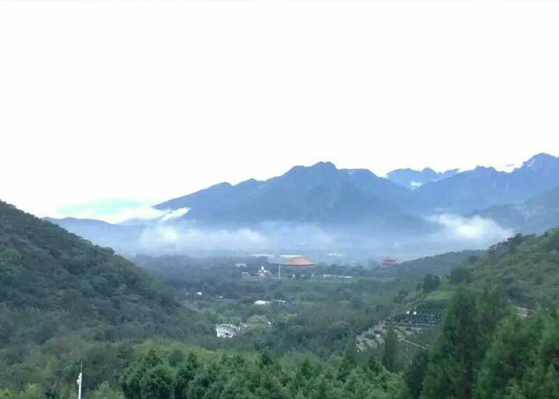 景仰园的风水好在哪里（景仰园价格多少）