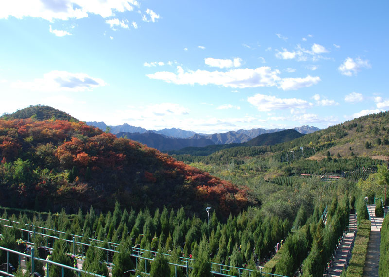 中元节，景仰园有代祭扫服务吗（景仰园风水如何）