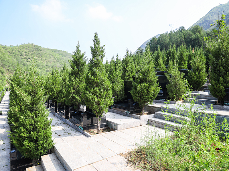 景仰园交通便利吗（景仰园乘车线路）